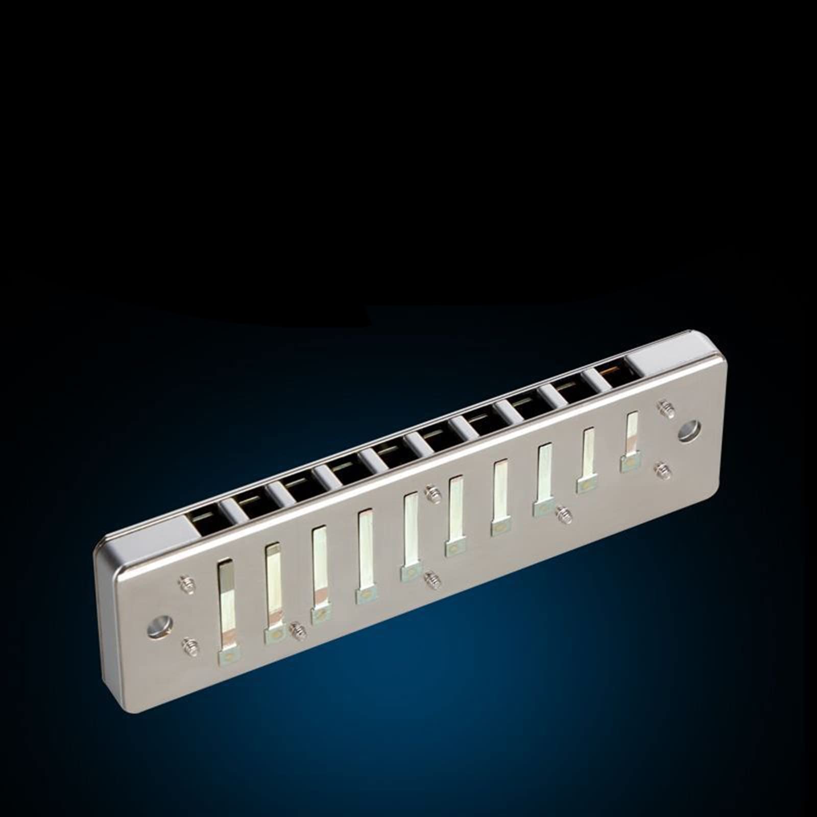 Armonica A 10 Fori in Chiave C per Principianti Professionisti Adulti Che Suonano L'armonica Armonica per Principianti (Color : Gray B Tone)