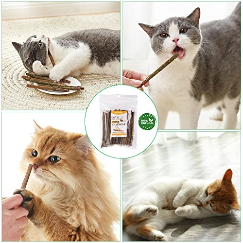 OSDUE 32 Stück Katzenminze Sticks, Matatabi-Kausticks, Katzenminze Spielzeug Katzen Kauhölzer Sticks für Katzen Zahnpflege & Gegen Mundgeruch Natürlich Sicher Katzensticks Kausticks Set