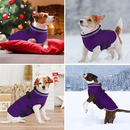 Image of Dogcheer Dog Coat with Harness, Waterproof Dog Fleece Jacket - Purple,XS