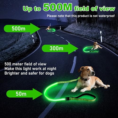 Behogan LED Hundeleine, 1.2M Wasserdicht Nylon LED Hundeleine, USB Wiederaufladbar Lichtfunktion Hundeleine Reflektierend, Clip Lampe für Nächtliche Spaziergänge (Grün)