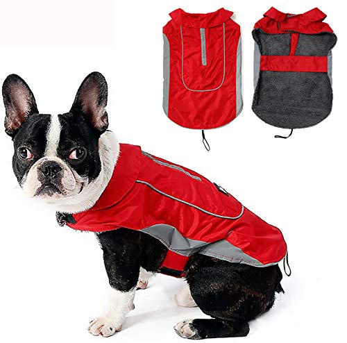 zellar dog raincoat