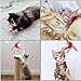 PetPhindU 3PCS Cat Collars with Cat Feather Toys, Interactive Cat Toy with Bell for Indoor Cats, Adjustable Silicone Cat Collar Toy Cat Collar with Bells Cat Collar Toy (Color Mixing,3PCS)