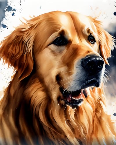 ZMHZMY Paint by Number Kits Golden Retriever DIY Digital Canvas Oil Painting Art Decor for Adults Beginner,40x50cm Frameless