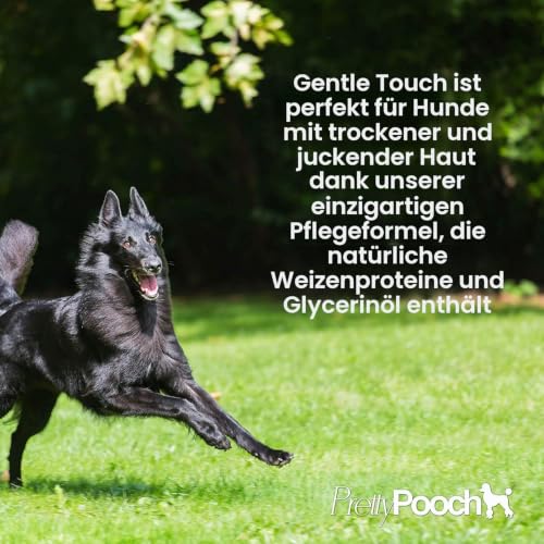 Pretty Pooch® Gentle Touch Shampoo und Conditioner für Hunde, ein nicht juckendes, professionelles Tiefenreinigungsshampoo für Hunde mit empfindlicher Haut (4 l, Babypuderduft)
