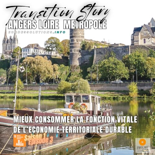 『MIEUX CONSOMMER LA FONCTION VITALE DE L"ECONOMIE TERRITORIALE DURABLE』のカバーアート
