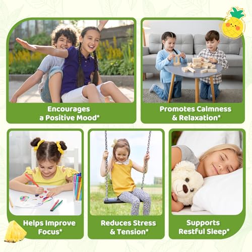Image of 2 Pack Liposomal GABA L-Theanine Drops for Kids - Liquid GABA Supplement with Magnesium, Chamomile, Lemon Balm & Vitamin B6 - Support Relaxation, Focus & Stress Relief for Kids & Adults - Pineapple
