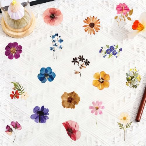 Image of Transparent Flora Scrapbook Stickers Aesthetic Flowers Stickers(200) | Transparent & Waterproof Sticker for Scrapbook Journal Water Bottle Kindle, DIY Crafts, Party Supplies