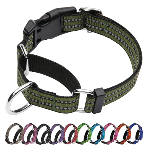 JOYEEIIOO Martingale Dog Collar Adjustable Nylon Reflective Collar with Quick Release Buckle No Pull Dog Training Collars for Small Medium Large Dogs (Forest Green Medium)