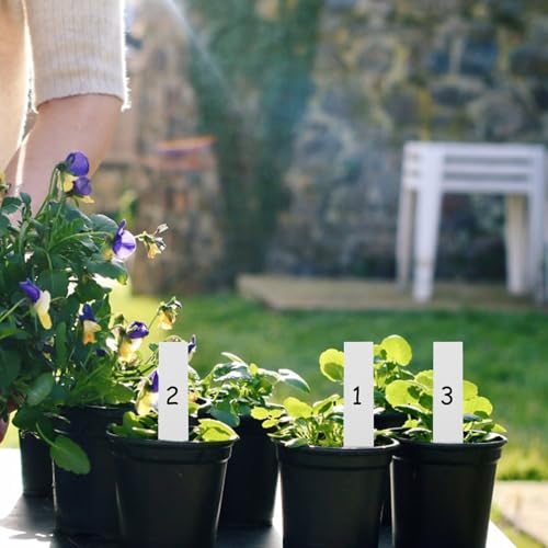 Set herramientas de jardinería Beavorty 12 pcs para suculentas miniatura 4