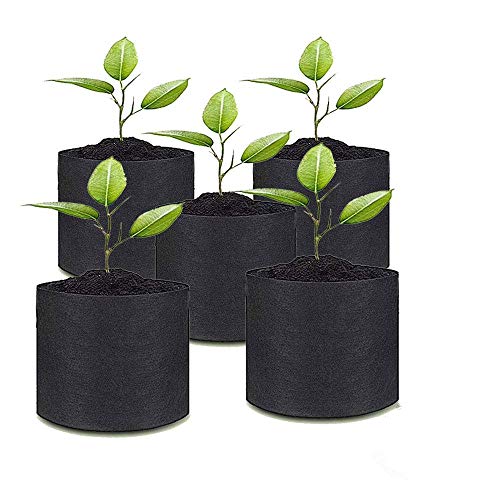 5X Pflanztasche Pflanzsack Pflanzbeutel mit Henkeln Vliesstoff Blumentopf in Schwarz Grau (20x20cm 6L, Schwarz) 5X Pflanztasche Pflanzsack Pflanzbeutel mit Henkeln Vliesstoff Blumentopf in Schwarz Grau (20x20cm 6L, Schwarz)