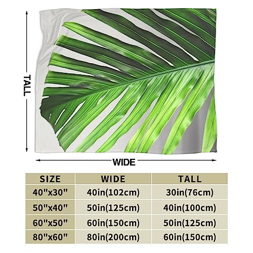 Couverture micro-polaire imprimé palmier vert pour lit et canapé - 4