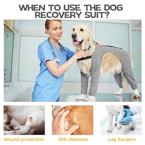 Image of BRKURLEG 4-Leg Dog Recovery Suit, Anti-Licking Surgical Onesie, Grey XL