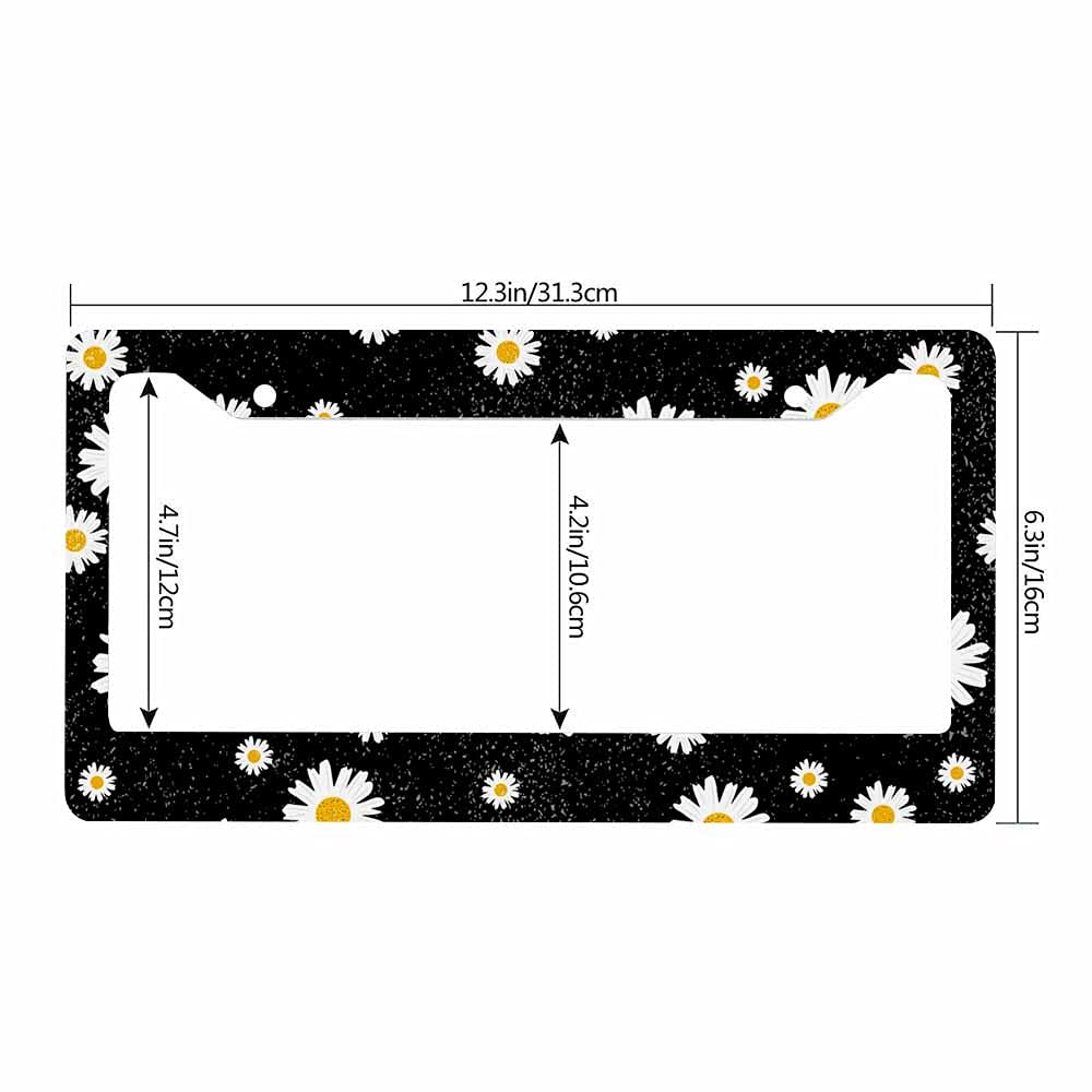 Nicokee Decorative License Plate Frame Black Celtic Viking Car Tag Frame Aluminum Auto License Plate Holder for Men Women: Multi-0003 12 x 6 Inch