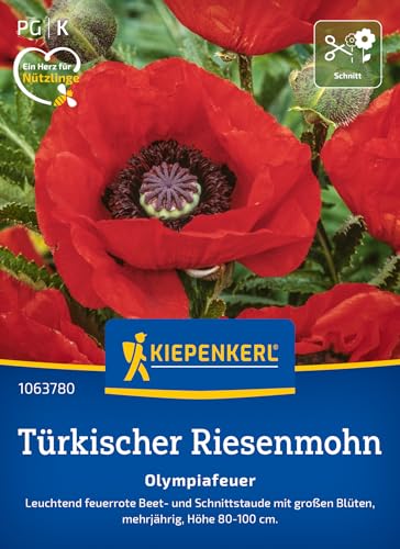 Kiepenkerl Türkischer Riesemohnsamen Olympiafeuer 1063780 – Leuchtende feuerrote Blüten für Ihren Garten – Wildblumensamen, Blumenwiese, Saatgut