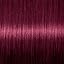 086 Pure Purple