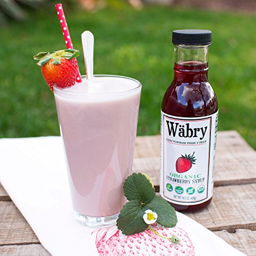 Image of Wabry Organic Syrup 14.9 oz Chocolate Hazelnut, Strawberry, Blueberry, Peach (Variety 4 Pack) BPA-Free Plastic