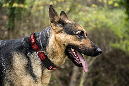 Pets First NHL Washington Capitals Collar for Dogs & Cats, Small. - Adjustable, Cute & Stylish! The Ultimate Hockey Fan Collar!