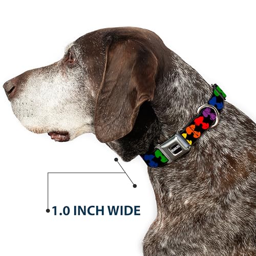 Collier pour chien anti-évasion boucle métal robuste multicolore