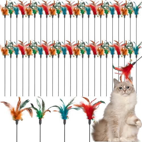 Leitee 50 Pcs Cat Wand Toy Feather Stick Cat Toy Feather Toys and Teaser Wand Bulk Interactive Stick for Indoor