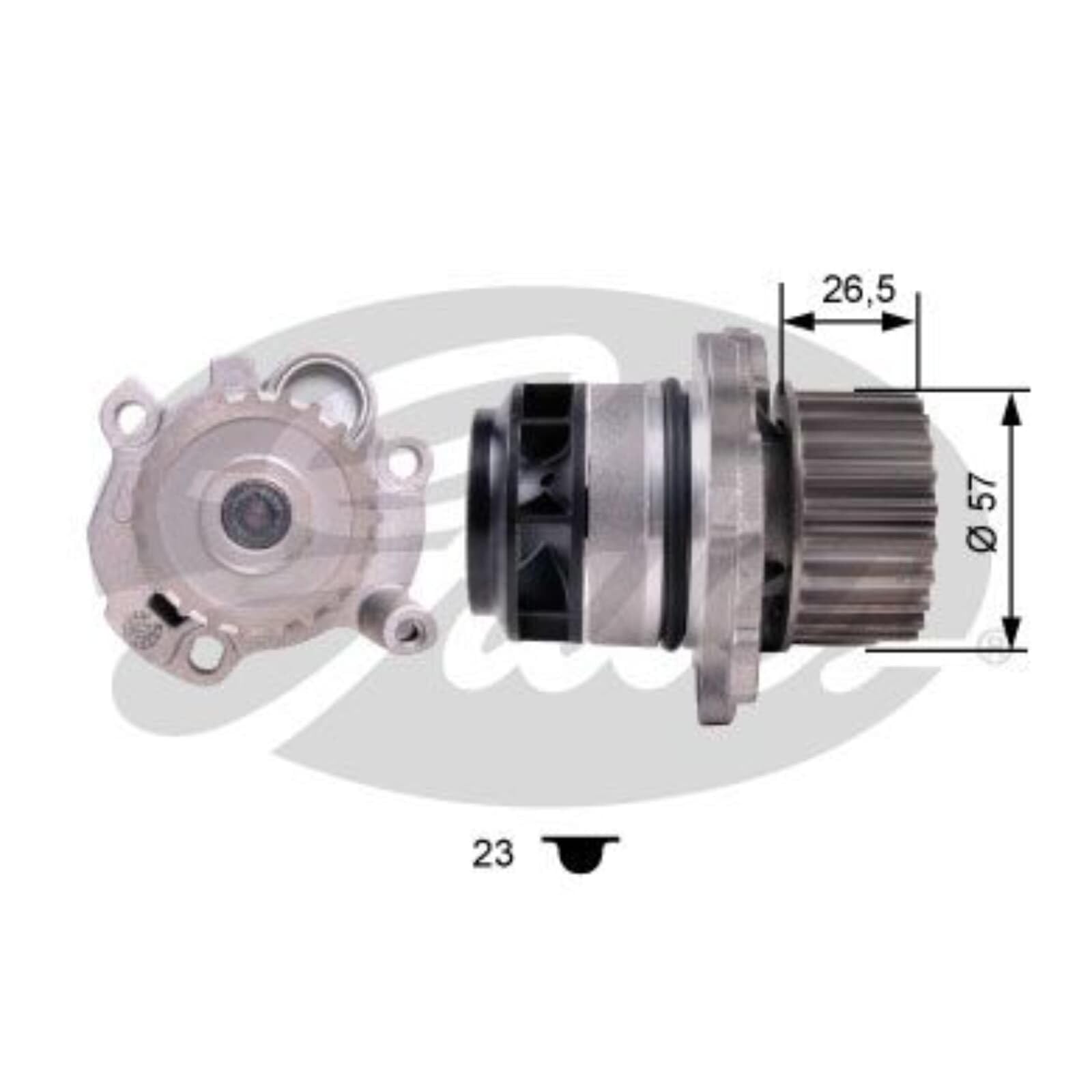 GATES Kit PowerGrip + Pompa Dell'Acqua KP35604XS