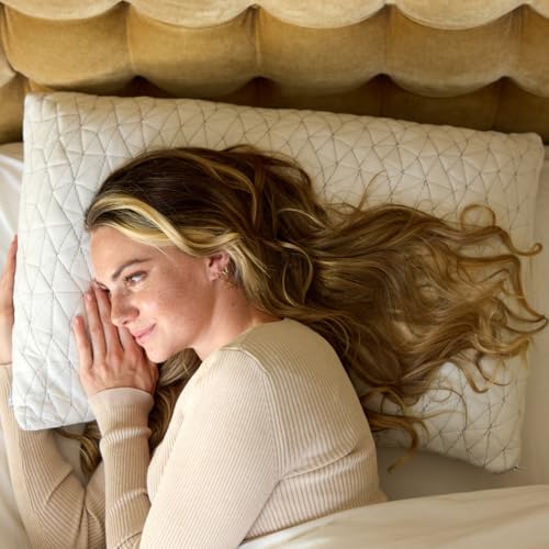 Image of Nuzzie (2 Pack) Cloud Pillow Premium Soft Eco-Conscious Adjustable Memory Foam Pillow for Perfect Comfort (2 Pillows) King