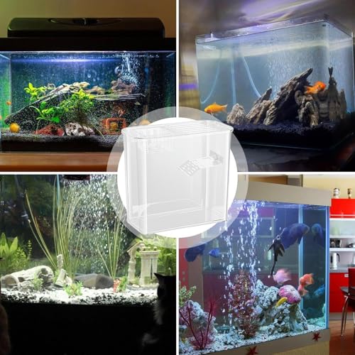 Terrarium tortue polyvalent transparent idéal pour observer vos petits reptiles dans le salon