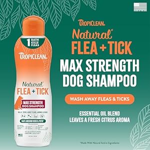 Tropicleanmaxstrengthfleaandtickshampootreatmentfordogspowerfulnaturaldefensepreventionforlargesmalldogsmadeinusa20oz Urban Country Home Decor Tropiclean max strength flea and tick shampoo treatment for dogs powerful natural defense prevention for large small dogs made in usa 20oz urban country home decor