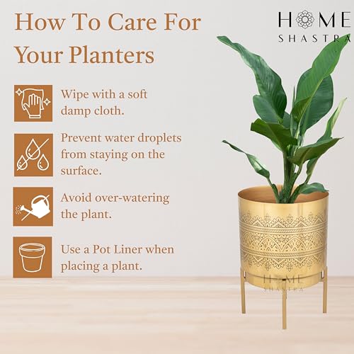 Image of Raaga Gold Metal Planters with Stand | Pack of 2 | Big Planter - 10 Inch (Height) 7 inch (Diameter) | Small Planter - 8 Inch (Height) 6 inch (Diameter) Planters for Living Room