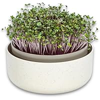 Urbalive große Keimschale 16cm - Kresse Anzuchtschale für Sprossen, Kressesamen, Microgreens - Design Kressesieb aus hochwertigem Kunststoff - Keimsprossenbox Keimgerät mit Kaffeesatz-Beimischung