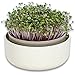 Produktbild Urbalive große Keimschale 16cm - Kresse Anzuchtschale für Sprossen, Kressesamen, Microgreens - Design Kressesieb aus hochwertigem Kunststoff - Keimsprossenbox Keimgerät mit Kaffeesatz-Beimischung