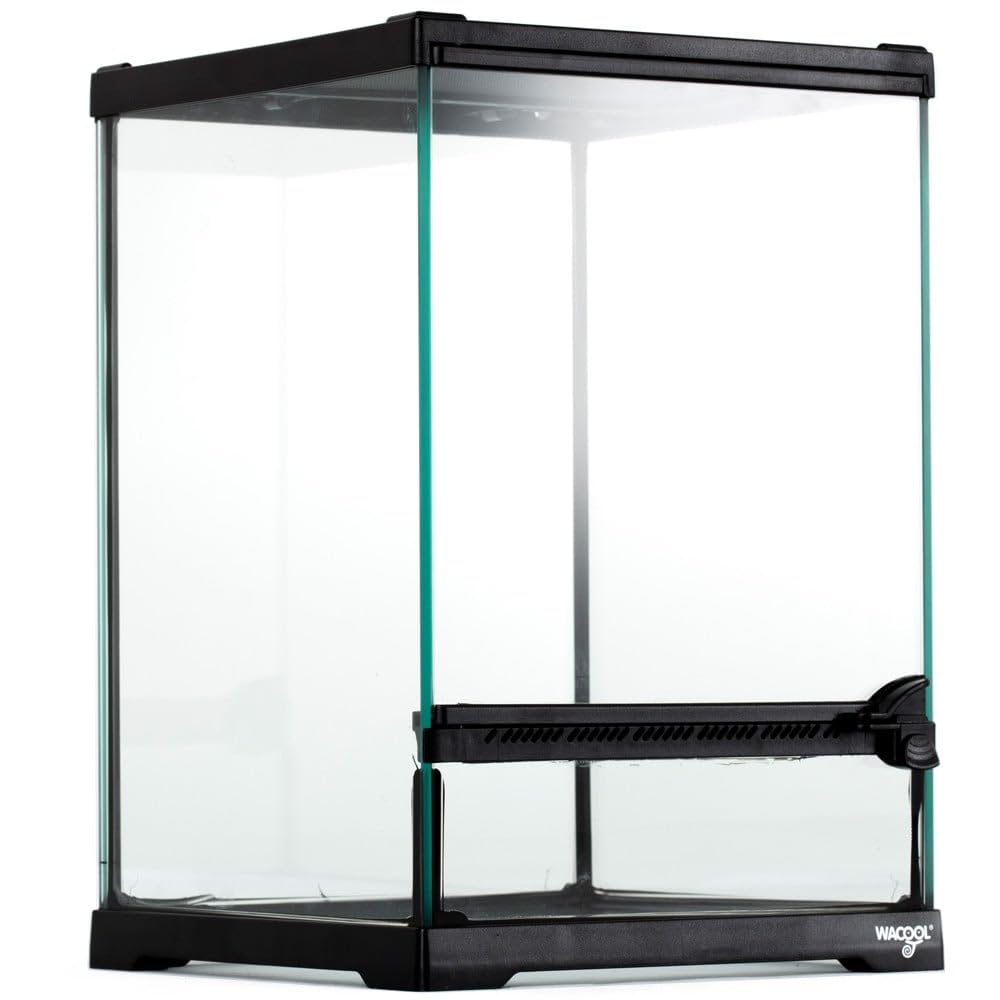 Repti-Zoo Terrario 21 x 21 x 30 cm – Terrario in vetro per rettili, anfibi, aracnidi e insetti