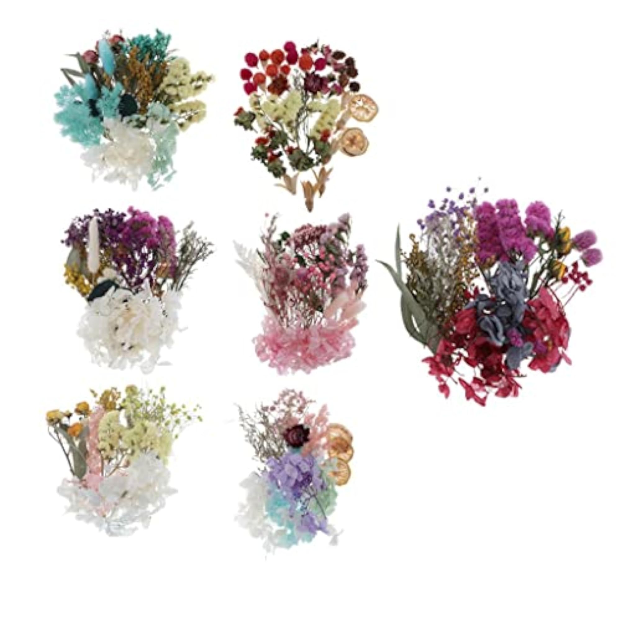 Natural Pressed Dried Flowers Leaves for DIY Art Craft