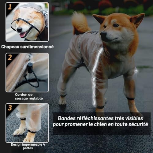 Imperméable pour chien avec capuche transparente pour balade nocturne M - 4