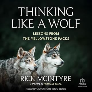 Thinking Like a Wolf cover art