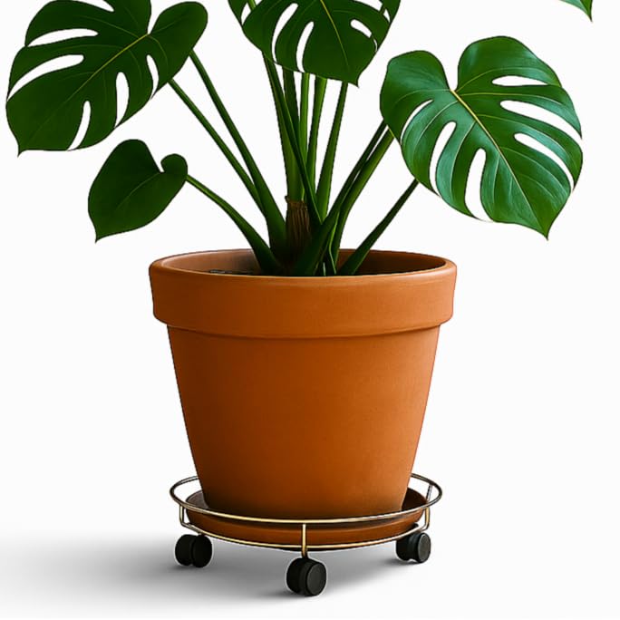 Percilun Sottovaso con Ruote, Carrellino con Ruote, Base con Ruote per Vaso di Fiori, Portavaso con Ruote, Carrello Bombola Gas. (2 Basi di 32cm)