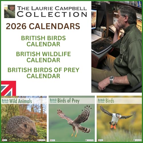 ALLTRADE Calendar 2026 British Wildlife 2026 Calendar UK Holidays MADE IN BRITAIN® with 100% Solar Energy on FSC® paper Photos by LAURIE CAMPBELL Supports Carbon Capture with Tree Planting - Image 2