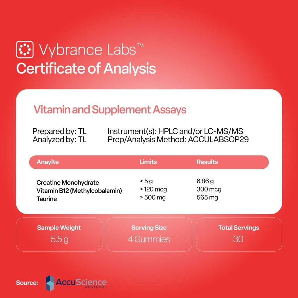 VYBRANCE LABS Creatine Gummies for Women & Men — First & Only 5g Creatine + Taurine + Vitamin B12 | Vegan Creatine Gummies | Sugar-Free | Watermelon