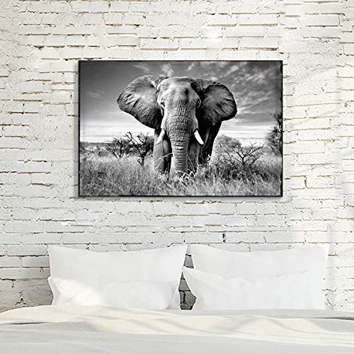 Artistic Path Elephant Picture Canvas Wall Art: African Wild Animals Artwork Painting Print For Living Room (36''W X 24''H,Multi-Sized) #TOP1