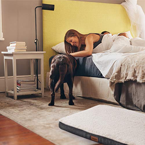 Petsure Orthopedic Dog Bed (L, 36x27x3 inches) for Small, Medium, Large Pets Up to 75 lbs - Foam Dog Bed with Plush Sherpa Top - Washable Cover - Grey - Thumbnail 7
