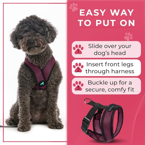 Gooby Comfort X Hundegeschirr zum Ziehen über den Kopf, komfortabel, kein Ziehen, für kleine bis mittelgroße Hunde, Würgeschutz, X-Design, für unterwegs, für Innen- und Außenbereich, Größe L, Lila