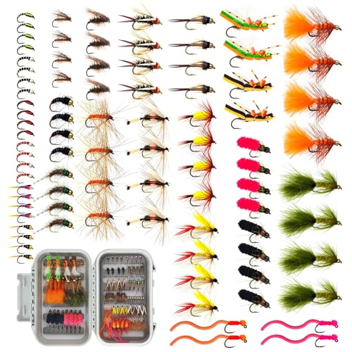 BRAIRIA Fly Fishing Flies | Best Gift Set for Fly Fisher |...