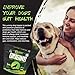 ROGUE PET SCIENCE Origins 5-in-1 Dog Supplement - Powdered Food Topper w/Natural Heirloom Pork Protein- Supports Healthy Digestion, Skin, and Coat - Helps Reduce Itching & Joint Inflammation (2 lbs)