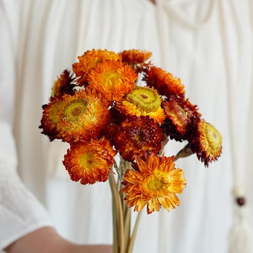 20 tallos de flores secas para decoración miniatura 2