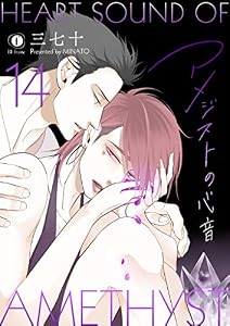 アメジストの心音　（14） (BLfranc)