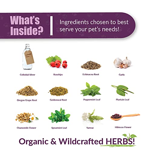 Amber Naturalz - Paxaid Digestive Rescue - Appetite, Gut, Digestive Health, And Vitality Support For Puppies And Dogs. Helps Support Digestive Enzymes And Occasional Gastric Upsets - 4 Oz Bottle #TOP2