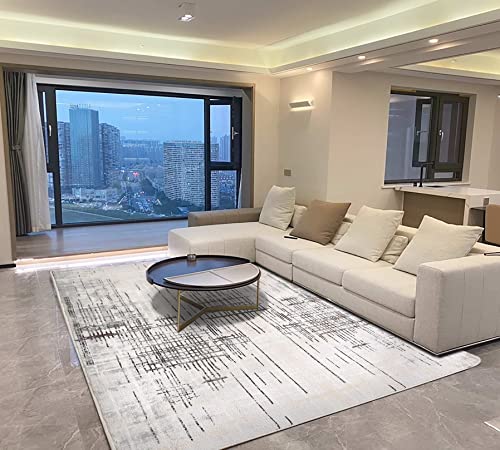 Leesentec Alfombras Salon Grande Alfombra Moderna para Sala de Estar Alfombras de Salón de Diseño Moderno Pelo Corto para...