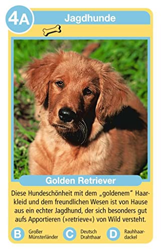 Ravensburger 20420 - Tierquartett Hunde, Klassiker für 3-6 Spieler ab 4-12 Jahre, 32 Hunderassen