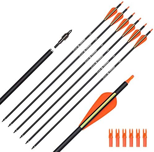 Hunter Ian Archery Carbon Arrow Hunting Arrows 26 28 30 Inch with 100 Grian Removable Tips for Compound Bow & Recurve Bow Practice Shooting Hunter Ian Archery Carbon Arrow Hunting Arrows 26 28 30 Inch with 100 Grian Removable Tips for Compound Bow & Recurve Bow Practice Shooting