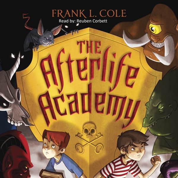 Cover art for The Afterlife Academy