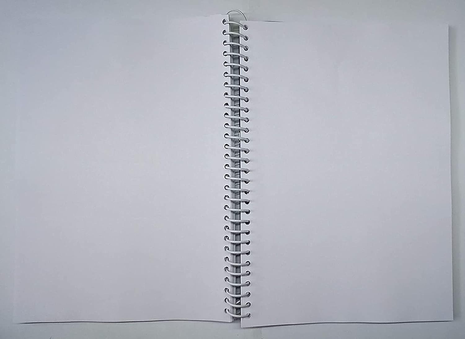 True-Ally F/S or Legal Size Book Spiral Binding Sheet Set of 2 (50 Blue + 50 Opac White) Total Sheets 100 (Size: 13.5 X 8.5 inch) (Pack of 100 (50 Blue + 50 White)) 1